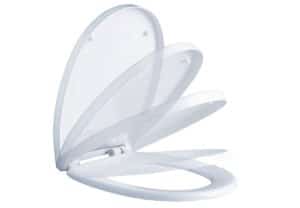 אסלה ושירותים